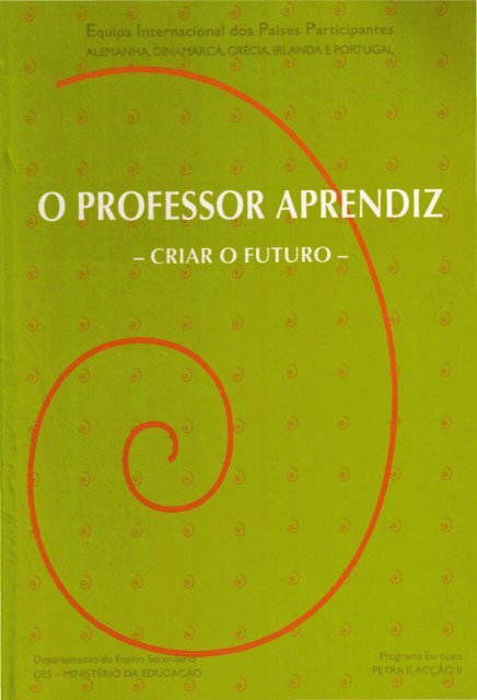 História na sala de aula: conceitos, práticas e propostas (Portuguese  Edition)