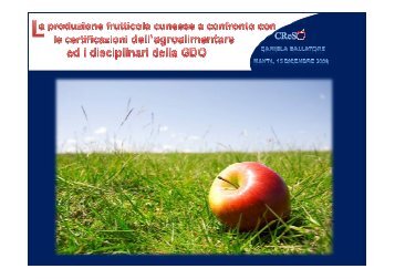 Microsoft PowerPoint - 5 - Daniela Ballatore CReSO 15 ... - InfoKeeper