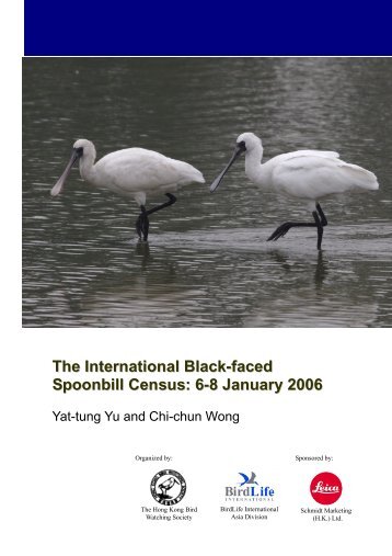 The International Black-faced Spoonbill Census - Hong Kong Bird ...