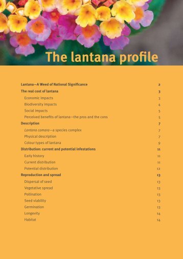 The lantana profile - Weeds Australia