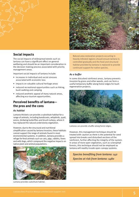 The lantana profile - Weeds Australia