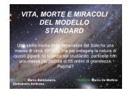 VITA, MORTE E MIRACOLI DEL MODELLO STANDARD