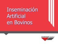 técnica de inseminación artificial - Accelerated Genetics