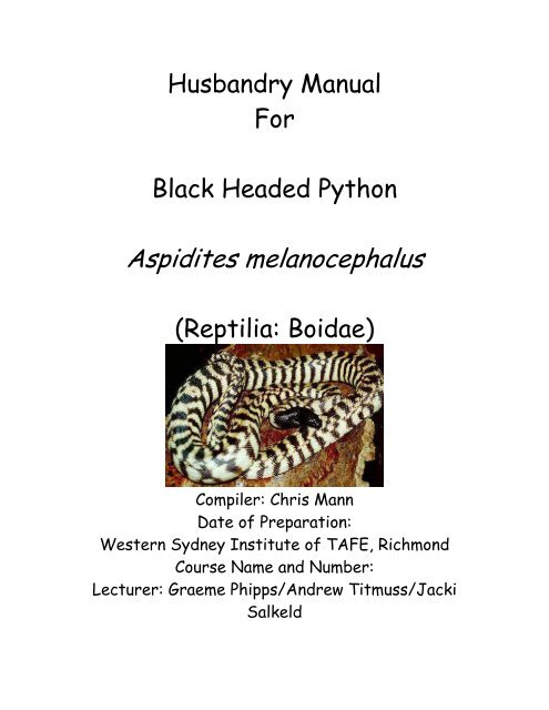 Husbandry Manual For Black Headed Python - Nswfmpa.org