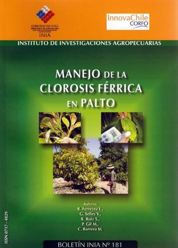 Manejo de la clorosis fÃ©rrica en paltos - Platina - INIA