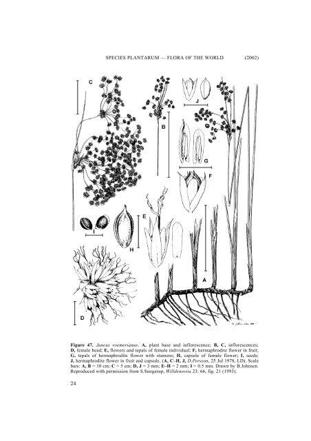 Part 7. JUNCACEAE 2: Juncus - Species Plantarum Programme