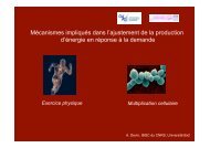 Anne Devin - MeetOchondrie - CNRS