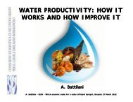 WATER PRODUCTIVITY: HOW IT WORKS AND HOW IMPROVE IT