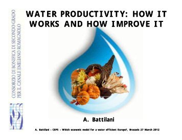 WATER PRODUCTIVITY: HOW IT WORKS AND HOW IMPROVE IT