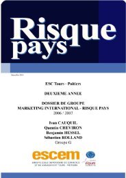 2. Analyse du risque pays - stroBlog