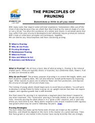 THE PRINCIPLES OF PRUNING - Star Nursery