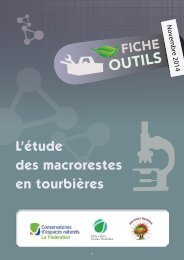 fiche outils macrorestes BD