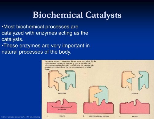 Nanoparticles Nanoparticles as Catalysts in Chemical Reactions