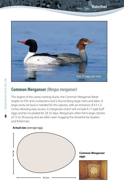 Nest Box Guide For Waterfowl - Alberta Conservation Association