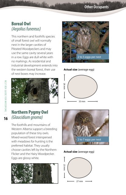 Nest Box Guide For Waterfowl - Alberta Conservation Association