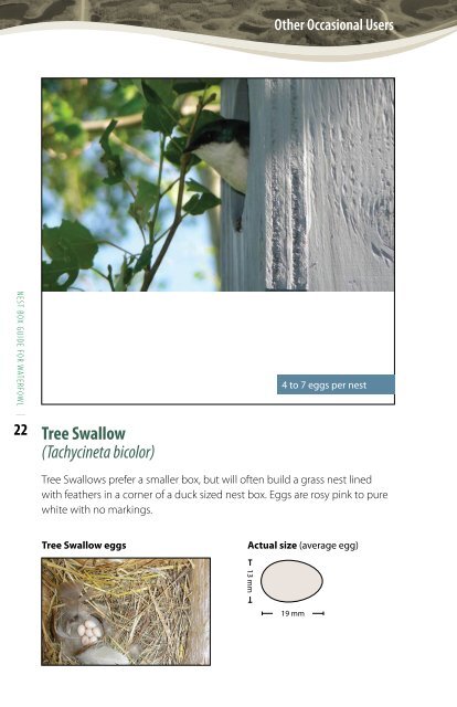 Nest Box Guide For Waterfowl - Alberta Conservation Association