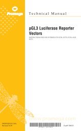 pGL3 Luciferase Reporter Vectors Technical Manual #TM033