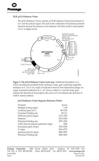 pGL3 Luciferase Reporter Vectors Technical Manual #TM033