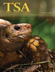 TSA newsletter - Turtle Conservancy