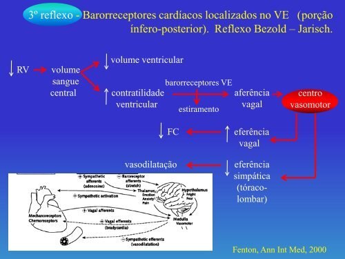 Fisiologia da anestesia subaracnÃ³idea. O que Ã© importante ... - Unesp