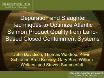 Depuration and Slaughter Techniques to Optimize Atlantic Salmon ...