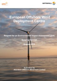 European Offshore Wind Deployment Centre Scoping 2010 - Vattenfall