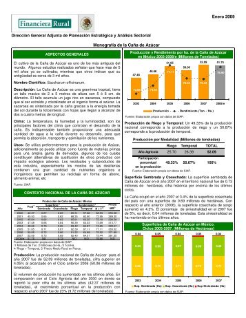 Enero 2009 Monografía de la Caña de Azúcar - Financiera Rural