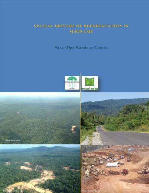 Spatial Drivers Of Deforestation In Suriname Centro De
