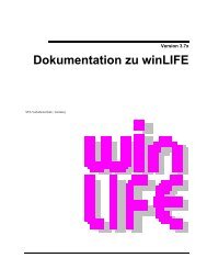 winLIFE Handbuch - FEM - Berechnung