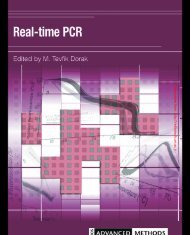 Real-time PCR