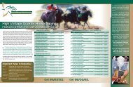 High Voltage Quarter Horse Racing - Ontario Racing Commission