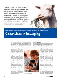 Geitenvlees in beweging - Vwg.net