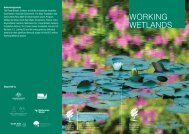 Working Wetlands map brochure - Royal Botanic Gardens Melbourne