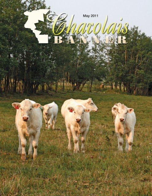 May 2011 Charolais Banner