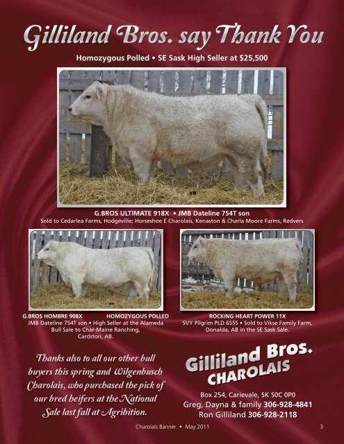 May 2011 - Charolais Banner