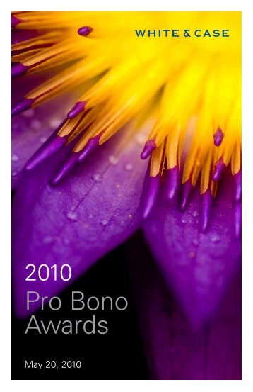 2010 Pro Bono Awards - White & Case