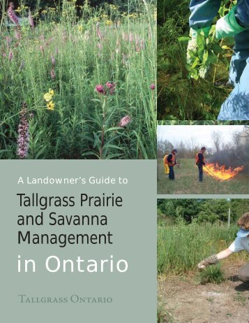 A landowner's guide to tallgrass prairie and ... - Tallgrass Ontario