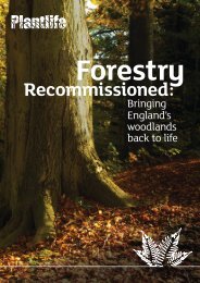 Forestry Recommissioned: Bringing England's woodlands ... - Plantlife