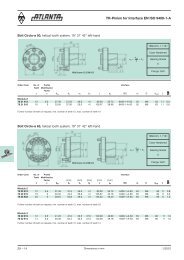 Pinion Product Range - ATLANTA Drive Systems, Inc.