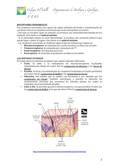 TEMA 5. RECEPTORES SENSORIALES - BiologÃ­a El Valle