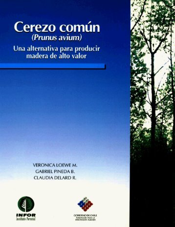 Cerezo comÃºn (Prunus avium)