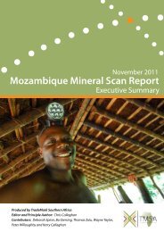 Report on Mining and Mineral Sector in Mozambique - TradeMark ...