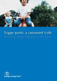 Trigger points - Energy Saving Trust