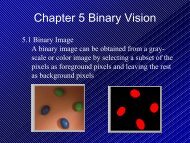 Binary Vision