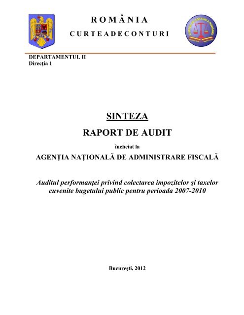 sinteza raport de audit - Curtea de Conturi