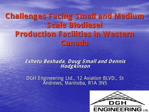 Challenges Facing Small and Medium Scale Biodiesel Production ...