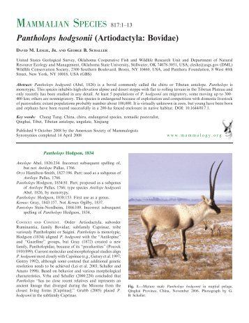 Pantholops hodgsonii (Artiodactyla: Bovidae) - BioOne