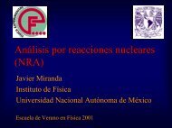 An AnÃ¡ Ã¡lisis por reacciones nucleares (NRA)