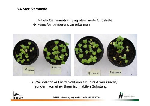 Chlorotische Pflanzen in Torfsubstraten - Deutsche Gesellschaft für ...