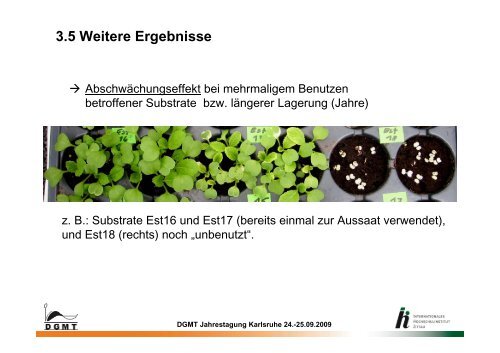 Chlorotische Pflanzen in Torfsubstraten - Deutsche Gesellschaft für ...